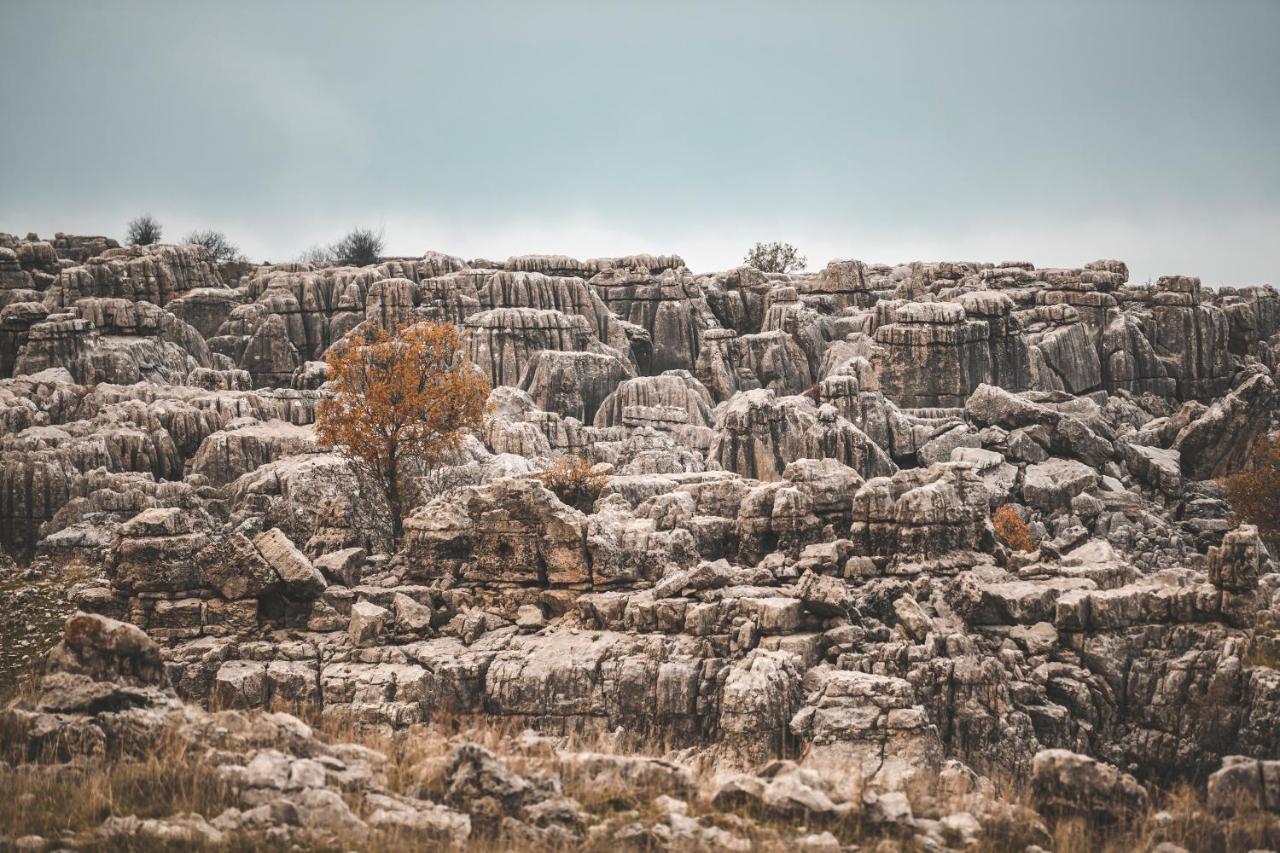 Odom Retreat Hotel Mzaar Kfardebian Ngoại thất bức ảnh